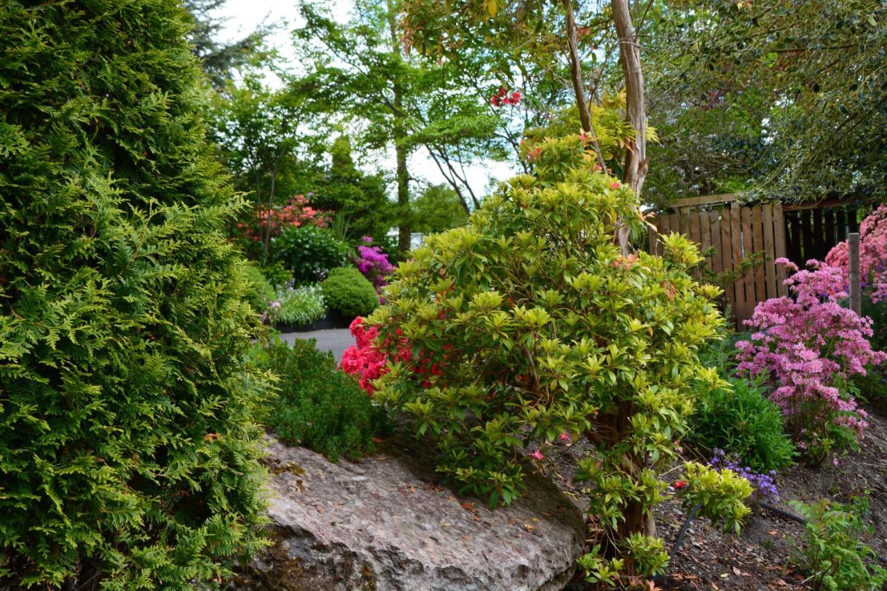 The Grove Lodge Guesthouse Killorglin Dış mekan fotoğraf