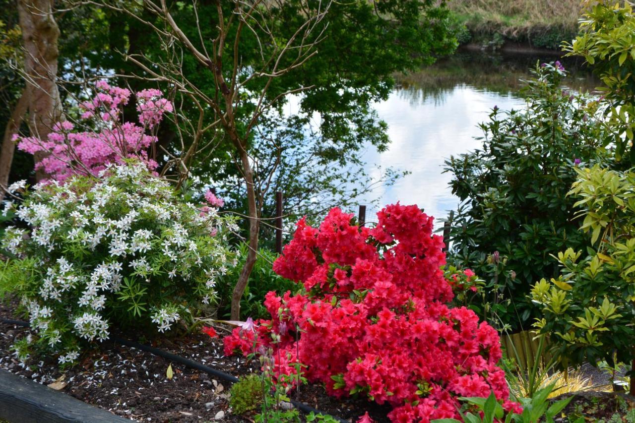 The Grove Lodge Guesthouse Killorglin Dış mekan fotoğraf