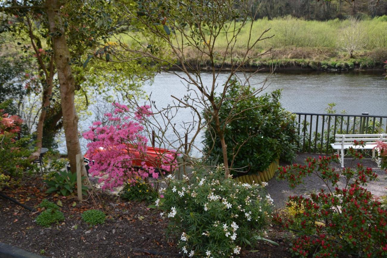 The Grove Lodge Guesthouse Killorglin Dış mekan fotoğraf