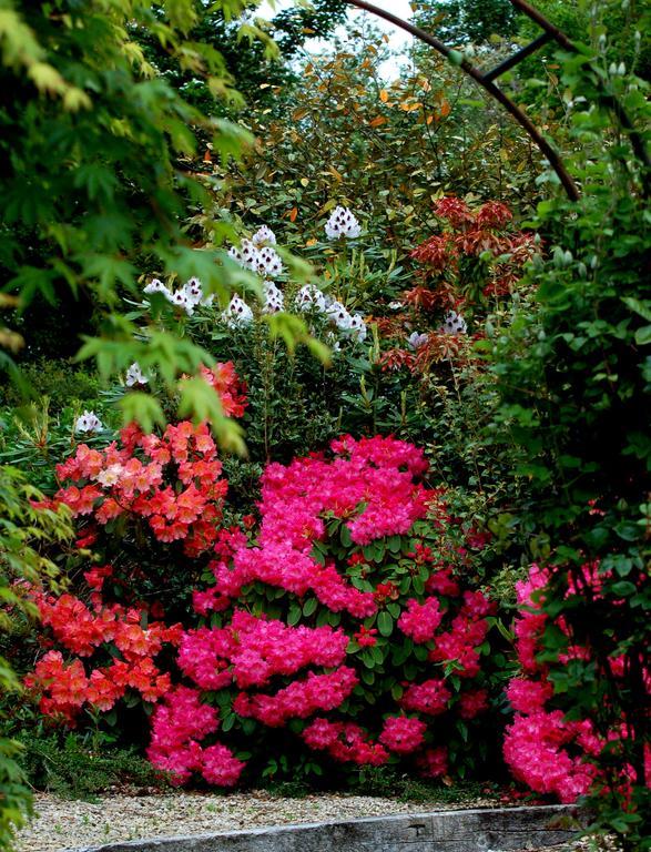 The Grove Lodge Guesthouse Killorglin Dış mekan fotoğraf