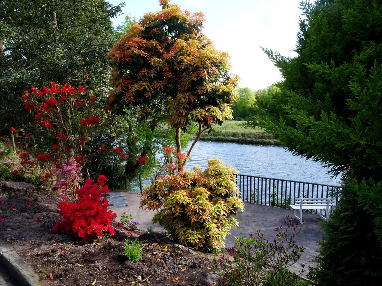 The Grove Lodge Guesthouse Killorglin Dış mekan fotoğraf
